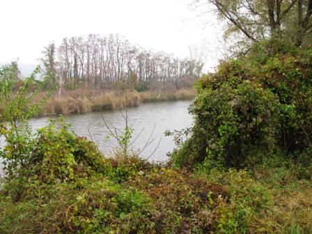 Blick über den Teich bei der Dirnelwiese