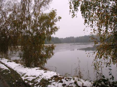 Blick zum 'Groer Teich' vor Schandachen - der Teich wurde abgelassen