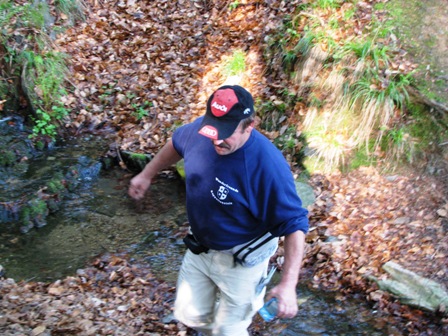 Quaxi schwebt förmlich über das Hindernis