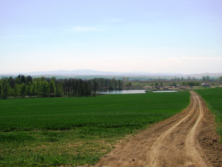 Fernblick auf Teiche vor Lubań...