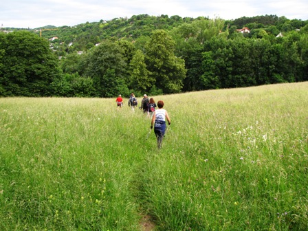 Über eine Wiese gehts bergab nach Hinterbrühl