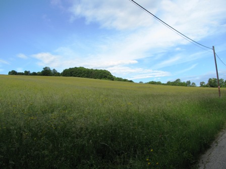 Blick über die Wiese vor der Wienerhütte