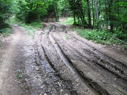 Deine Spuren im Sand...