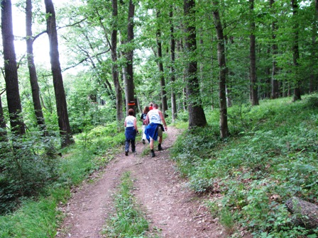 Die Gruppe durch den Wald beim 'Hinterer Gernberg'