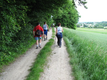 Am Waldrand Richtung Siegenfeld