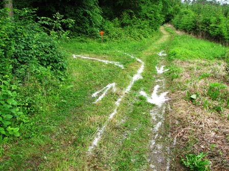 Achtung - richtiges Einreihen ist erforderlich! Die gute Streckenmarkierung bei einigen komplizierten Stellen.