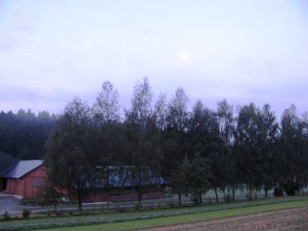 Morgendlicher Nebel liegt ber Nebelberg - erste Herbstimpressionen