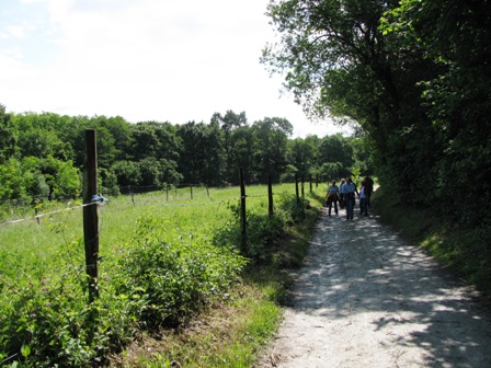 Bald gehts auf schönen Wegen in den Wald