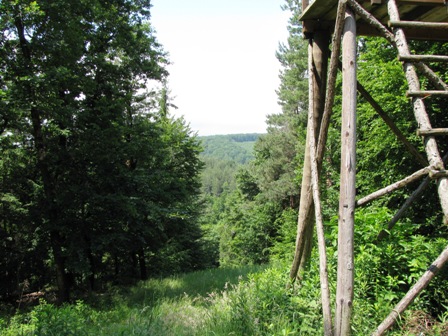 Der Blick ins Tal...