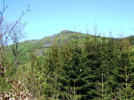 Diesen 'Hügel' werden wir auch noch erklimmen