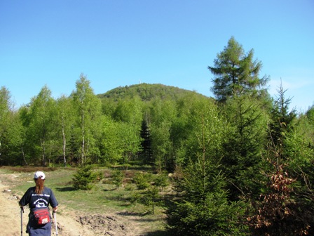 Fernblick zur 'Lausche'