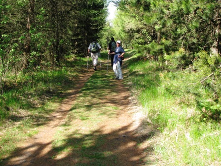 Auf wunderschönen Waldwegen gehts weiter