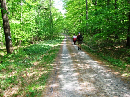 Weitere Impression von der Waldstrecke