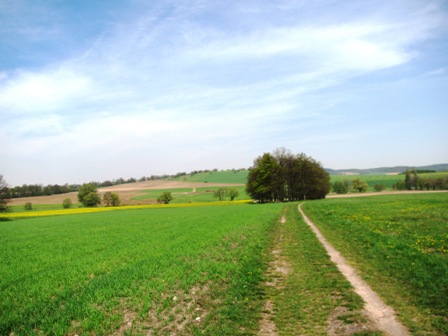 Blick über die Felder um Großschönau
