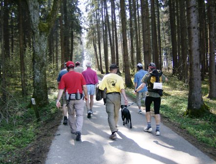 Weiter wandert die Gruppe durch schattenspendenden Wald Richtung Ziel in Allhaming