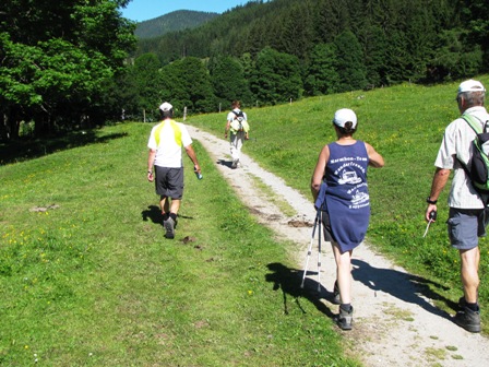 Über Almen gehts weiter...