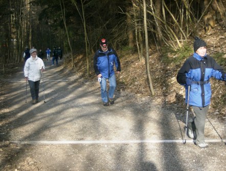 Durch den Wald fhrt der Weg bergauf