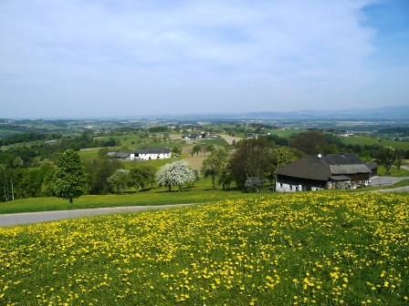 Fernblick über blühende Wiesen
