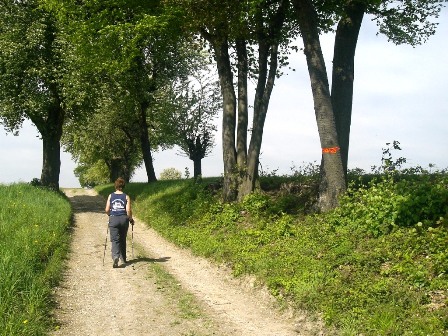 Monika eilt flotten Schrittes die Steigung hinauf