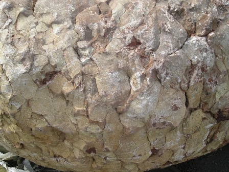 Auch von der Nähe betrachtet