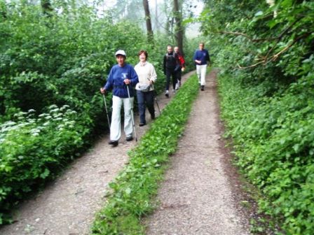 Die ganze Marathongruppe genießt die ruhigen Morgenstunden durch die Au