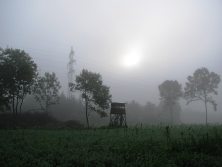 Die Sonne kämpft sich langsam durch den Morgendunst