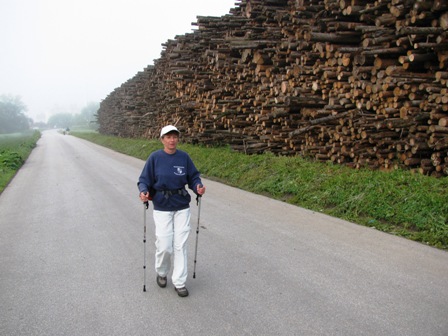 Jede Menge Holz vor der Hütte - natürlich der Firma Egger