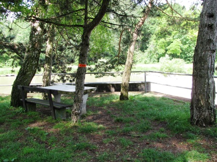 Ein einladender schöner Rastplatz neben der Traisen