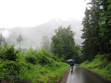 Der Feuchtigkeitsgrad der Luft ähnelt der am Amazonas