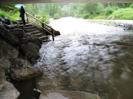 Der hohe Wasserstand zwingt die Wanderfreunde etwas vom Weg abzuweichen