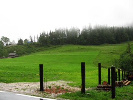 Saftig grüne Wiesen rund um Pürgg