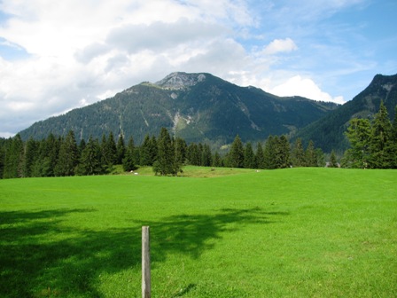 Blick zu den Bergen und Bad Mitterndorf