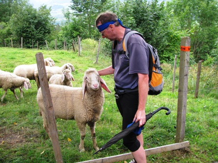 Weitere Dokumentation von Harald's Tierliebe - diesmal streichelt er ein Schaf