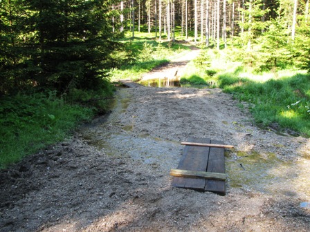 Behelfsstege über Bächlein