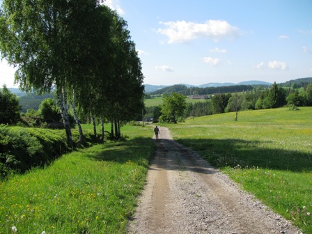 Weiter gehts leicht bergab