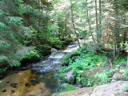 Impressionen vom Klammleitenbach