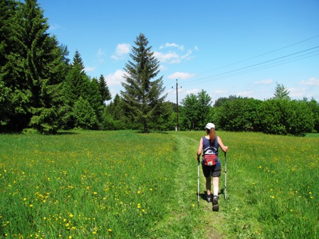 Der Weg führt nun weiter über eine Wiese