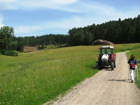 Mäharbeiten entlang der Strecke