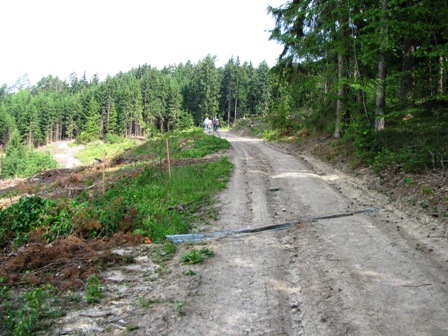 Auf diesem schönen Weg gehts stetig bergauf...