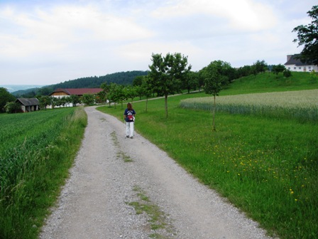 ...Richtung Gauschitzberg