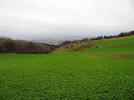 Blick vom Bisamberg nach Strebersdorf - der Nebel liegt noch im Tal