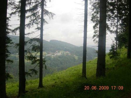 Ein herrlicher Blick durch den Wald zum Gegenhang