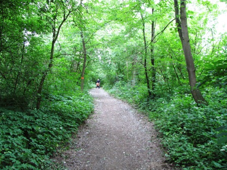 Auf dem schönen Weg entlang der Erlauf gehts weiter