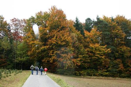 ...der Waldviertler Herbst genossen werden