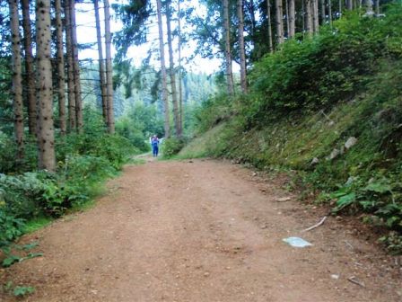 Los gehts ber einen wunderschnen Forstweg durch den Wald