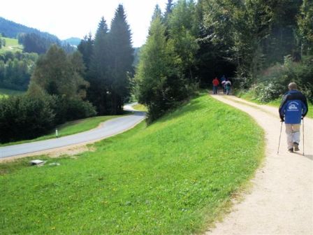 ...und ber schne Forstwege durchs Mhlviertler Hochland