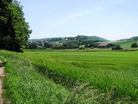 siegenfeld