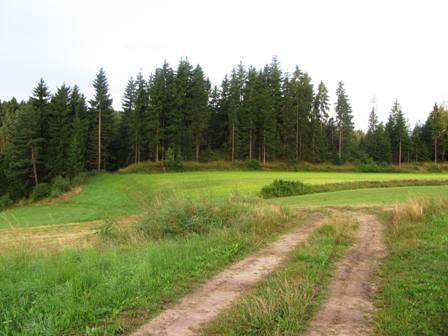 Herrlicher Feldweg Richtung Streith