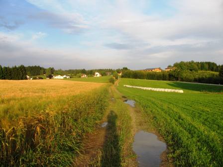Fernblick nach Streith