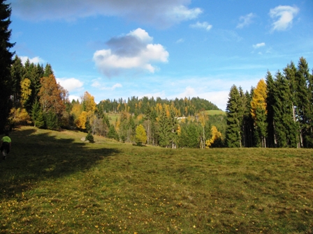 Schner Blick zu den herbstlichen Wldern...